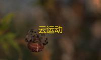 云运动